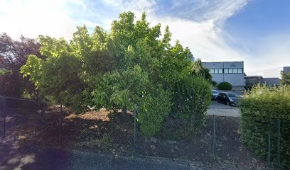 Odiceo Taluyers, Expert-Comptable à Taluyers