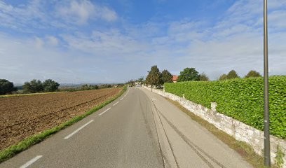 Semat Alex, Expert-Comptable à Lectoure