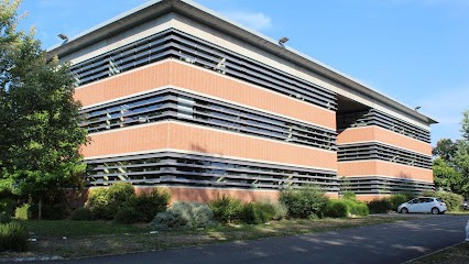 Sotodex, Expert-Comptable à Labège