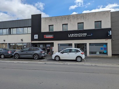 Groupe Cogedis, Expert-Comptable à Andel