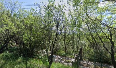 Cabinet D'Expertise Comptable SDECC, Expert-Comptable au Cannet-des-Maures