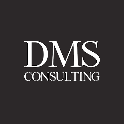 Dms Consulting - Dms Consulting - Expert-Comptable Pour Label De Musique,Artistes, Tatouteurs Et Influenceurs, Expert-Comptable à Paris 08