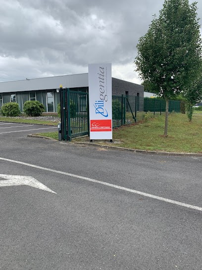 Diligentia Dillies Et Associés, Expert-Comptable à Saint-Laurent-Blangy