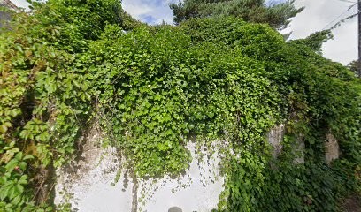 Seleco Val De Loire, Expert-Comptable à Mont-près-Chambord