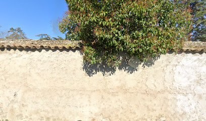 ELYXCO - Expertise Comptable & Conseils, Expert-Comptable à Tassin-la-Demi-Lune