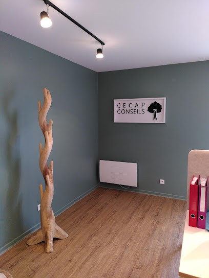 CECAP CONSEILS, Expert-Comptable à Saint-Fargeau-Ponthierry