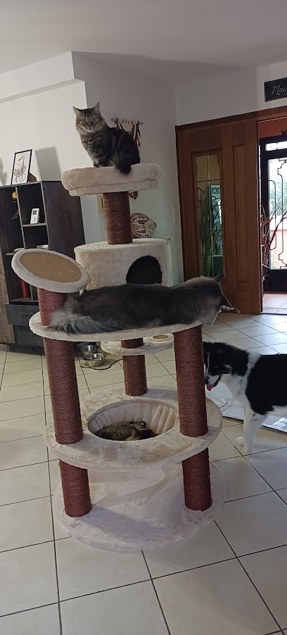 Candex Expert-comptable, Expert-Comptable à Sigean