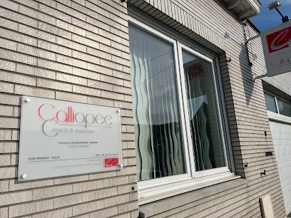Cabinet D'expertise Comptable CALLIOPÉE, Expert-Comptable à Lallaing