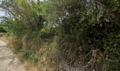 Cabinet AN CONSEIL - Expertise Comptable, Conseil, Audit, Expert-Comptable à Popian