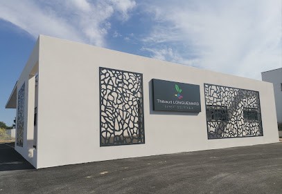 Cabinet Thibaud Longuemard Expert - Comptable, Expert-Comptable à Saint-Cyprien