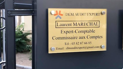DLM Audit Expert, Expert-Comptable à Thionville