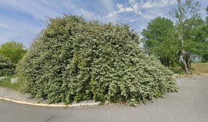 Audit Accounting & Management Jean, Expert-Comptable à Ramonville-Saint-Agne