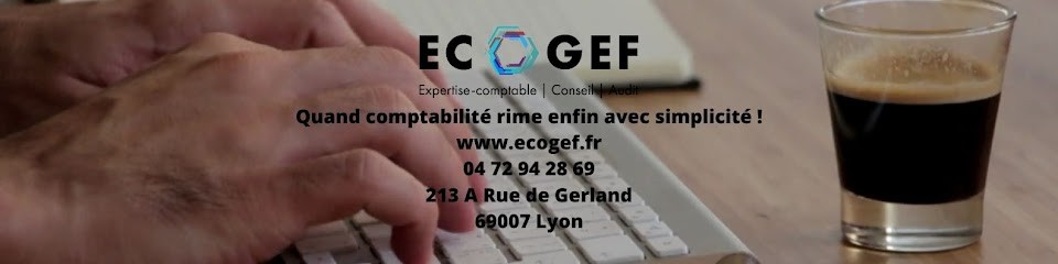 ECOGEF Expertise-Comptable Et Audit, Expert-Comptable à Saint-Fons