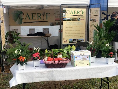 AGC CAERIF (SIEGE), Expert-Comptable au Chesnay