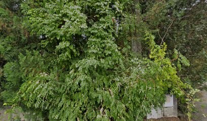 Abadie-Latapie Isabelle, Expert-Comptable à Lescar