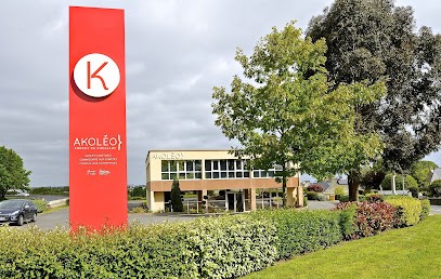 AKOLEO Conseil - Expert-comptable, Expert-Comptable à Langueux