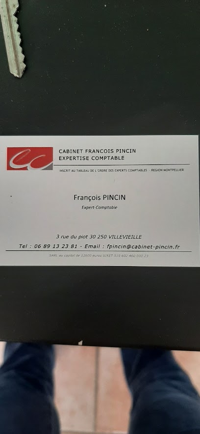 Francois Pincin Expertise Comptable, Expert-Comptable à Villevieille