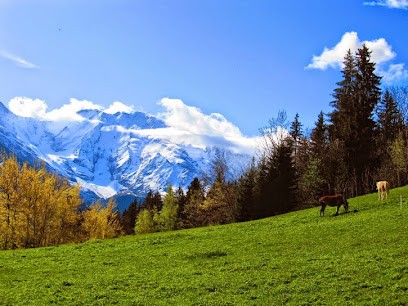 AGC CEGAR - Alpes - Comptabilité, Expertise, Gestion Agricole Et Rurale, Expert-Comptable à Moirans