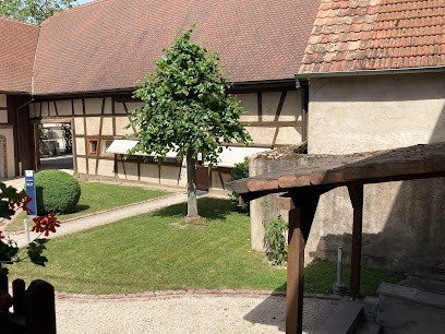 Talenz MGA Zellwiller, Expert-Comptable à Zellwiller