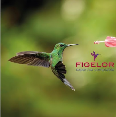 Figelor, Expert-Comptable à Maxéville