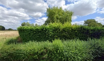 Expert Comptable Béthune Beuvry, Expert-Comptable à Beuvry